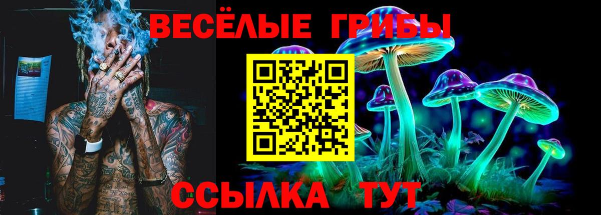 Кушва  Галлюциногенные грибы Psilocybe  Галлюциногенные грибы мицелий  Вход с VPN 